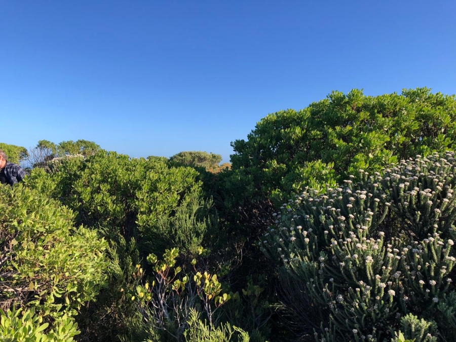 Commercial Property for Sale in Romansbaai Estate Western Cape